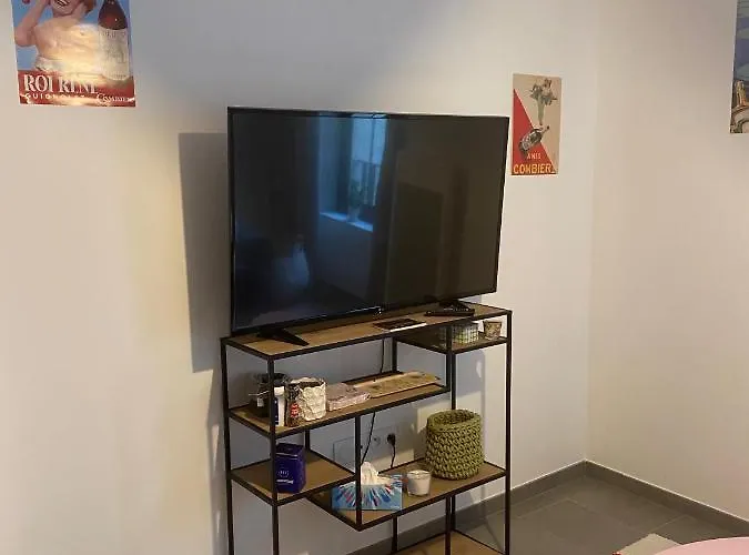 Apartment Joli Petit Nid Douillet En Centre